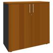 2012348123325-Armoire mi-haute IDRA/DUAL -  L80 x H102 x P47 - 2 portes - 2 tablettes métal DS - Corps anthracit-P_79377054_1-0