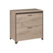 3483600448415-MAMBO - Armoire/Rangement bas - 2 Tiroirs - Chêne -P_79381465_1-0