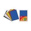 8410782123729-Apli - 10 feuilles mousse - coloris assortis-P_79383233_3-1