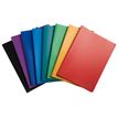 3130630085300-Exacompta - Porte vues - 60 vues - A4 - disponible dans différentes couleurs--0