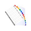 3130630023128-Exacompta Nature Future - Intercalaire 12 positions - A4 - carte blanche-P_79389277_2-1
