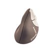 Urban Factory - souris filaire ergonomique pour droitier - noir
