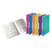 Leitz Wow - Porte vues - 40 vues - A4 - disponible dans différentes couleurs