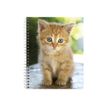 3660942044165-Cahier de textes à spirale Animaux - 17 x 22 cm - disponible dans différents visuels - Ex-P_79394629_5-3