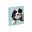 3660942044165-Cahier de textes à spirale Animaux - 17 x 22 cm - disponible dans différents visuels - Ex-P_79394629_6-7