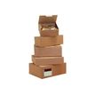 2012348669205-Carton Plus - Caja de envío - 33 cm x 10 cm x 10 cm - paquete de 50 x 50-P_79395383_2-1