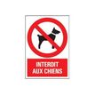 8711234129161-Pickup - Panneau Interdit aux chiens - 230 x 330 mm-P_79396306_1-0