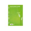 Calligraphe - feuilles simples A4 - 100 pages - grands carreaux (Seyes) - perforées - vert