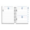 3660942244039-Agenda Shiny - 1 jour par page - 12 x 17 cm - disponible dans différents visuels - Exacomp-P_79405359_1-9