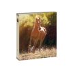3108720592328-oberthur Cheval Galop - classeur à anneaux-P_79405565_1-0