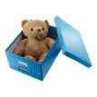 4002432398119-Leitz Click & Store - Boîte de rangement A4 - bleu métallisé-P_79406376_10-3
