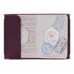 3700536110385-Color Pop - Etui passeport blindé silver-P_79408772_2-1