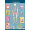 3592930008746-Poster pédagogique Squelette Humain - 52 x 76 cm - Bouchut--1