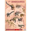 3592930009903-Poster pédagogique Dinosaures - 52 x 76 cm - Bouchut--0