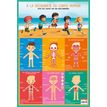 3592930011111-Poster pédagogique Corps Humain - 52 x 76 cm - Bouchut--0