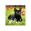 3592930029307-Calendrier illustré BOUCHUT 15 x 15 cm MON CHAT Pefc 70 %-P_79409613_8-5