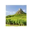 3592930029314-Calendrier illustré BOUCHUT 15 x 15 cm DOUCE FRANCE Pefc 70 %-P_79409615_4-8