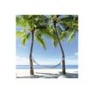 3592930027280-Calendrier illustré BOUCHUT 15 x 15 cm DESTINATIONS DE REVE Pefc 70 %-P_79409616_12-9