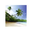 3592930027280-Calendrier illustré BOUCHUT 15 x 15 cm DESTINATIONS DE REVE Pefc 70 %-P_79409616_3-3