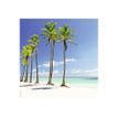 3592930027280-Calendrier illustré BOUCHUT 15 x 15 cm DESTINATIONS DE REVE Pefc 70 %-P_79409616_6-10