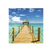 3592930027280-Calendrier illustré BOUCHUT 15 x 15 cm DESTINATIONS DE REVE Pefc 70 %-P_79409616_7-5