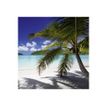 3592930027280-Calendrier illustré BOUCHUT 15 x 15 cm DESTINATIONS DE REVE Pefc 70 %-P_79409616_8-8