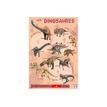 3592930009903-Bouchut - Poster Les Dinosaures - 52 x 76 cm-P_79409657_1-0