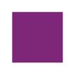 884955042076-ProMarker - Marqueur double pointe - prune-P_79412270_5-4