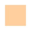 884955042205-ProMarker - Marqueur double pointe - safran-P_79412283_6-5