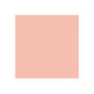 884955042298-ProMarker - Marqueur double pointe - pêche tendre-P_79412292_6-5