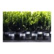 3266550132333-Avery - 420 Étiquettes ultra résistantes blanches - 63,5 x 38,1 mm - Impression laser - r-P_79413461_3-2