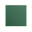 3329680972795-Clairefontaine Maya - Papier à dessin - 50 x 70 cm - 270 g/m² - vert antique-P_79413735_2-1