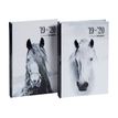 5412303144896-Agenda Equus - 1 jour par page - différents modèles disponibles - Brepols-P_79416464_1-0