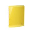 3130630516705-Exacompta Iderama - Classeur souple à anneaux - Dos 20 mm - A4 - pour 140 feuilles - dispon-P_79417549_22-32