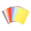 3130634202000-Exacompta Forever 180 - 50 Chemises - 170 gr - pour 200 feuilles - couleurs assorties-P_79417644_2-1