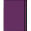 Pagna Office Trend - Trieur polypro à fenêtres 7 positions - violet