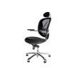 3760185023245-Fauteuil de bureau ergonomique - accoudoirs pivotants  - appuie-tête - TECNOSEAT-P_79419676_1-0
