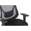 3760185028011-Fauteuil de bureau PRORELAX - accoudoirs réglables - appui-tête réglable et repose-jambe-P_79419678_3-2