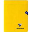 3329683037514-Clairefontaine Mimesys - Cahier polypro 17 x 22 cm - 48 pages - grands carreaux (Seyes) - disponib-P_79420117_3-2