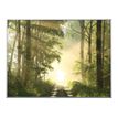 3660141890822-Cadre de décoration plexi/alu - 61 x 81 cm - Forêt-P_79421608_1-0
