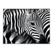 3660141890839-Cadre de décoration plexi/alu - 61 x 81 cm - Zèbre-P_79421609_1-0