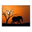 3660141890846-Cadre de décoration plexi/alu - 61 x 81 cm - Elephant-P_79421610_1-0