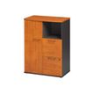 3483600741011-Rangement compact - JAZZ+ - 1 porte / 2 tiroirs - aulne-P_79426172_1-0