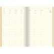 3664447104454-Agenda Colornote - 1 semaine sur 2 pages - 10 x 15 cm - disponible dans différentes couleu-P_79429125_5-4