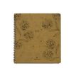 3664447036984-Agenda à spirale Primrose - 1 semaine sur 2 pages - 16,5 x 16,5 cm - disponible dans diff