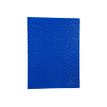 3130630852209-Exacompta OffiX - Porte vues - 40 vues - A4 - disponible dans différentes couleurs-P_79429734_2-1