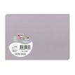 3329680113327-Pollen - 25 Cartes - 110 x 155 mm - 210g/m² - gris-P_79431440_1-0