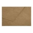3329680290059-Pollen - 20 Enveloppes - 110 x 220 mm - 135 g/m² - kraft-P_79431450_4-1