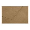 3329680290103-Pollen - 50 Cartes - 70 x 95 mm - 200 g/m² - kraft-P_79431453_3-2