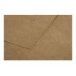 3329680290127-Pollen - 25 Cartes - 160 x 160 mm - 200g/m² - kraft-P_79431455_2-1